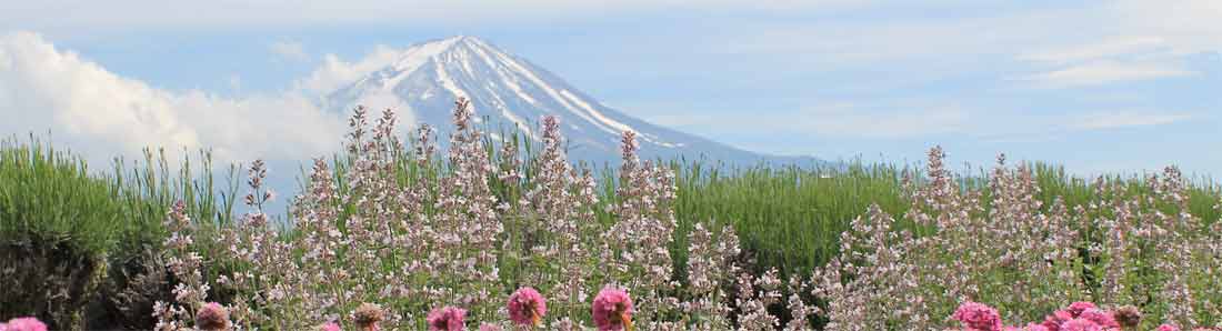 Le Japon pour les célibataires, du mont fuji au pacifique, des lieux magnifiques a partager