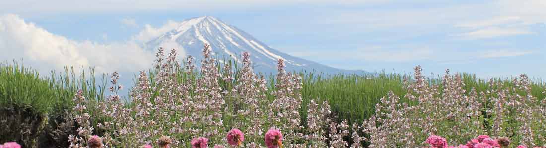 Le Japon pour les clibataires, du mont fuji au pacifique, des lieux magnifiques a partager